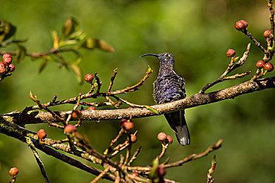《艾尔登法环》将登Edge杂志封面 有新细节透露